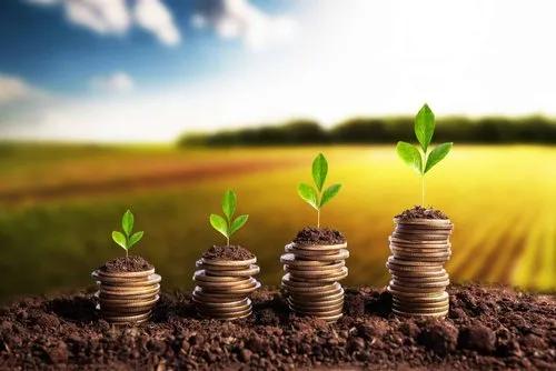 Ghanaian agribusiness as an institutional asset class
